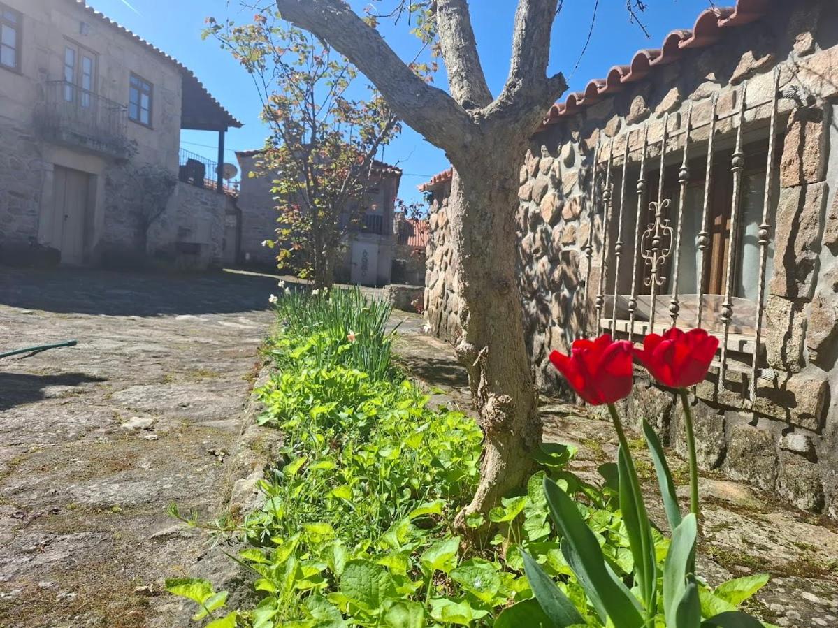 Casas Do Juizo - Country Houses Extérieur photo